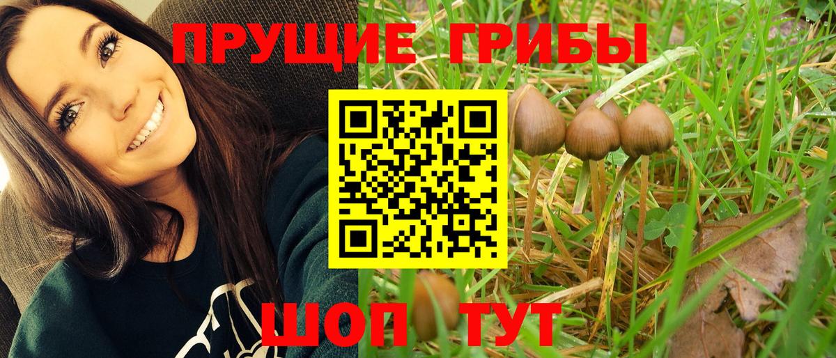 Псилоцибиновые грибы прущие грибы  Вход с VPN  Жигулёвск 