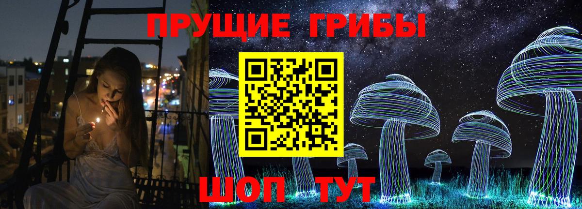 Псилоцибиновые грибы Psilocybine cubensis Жигулёвск